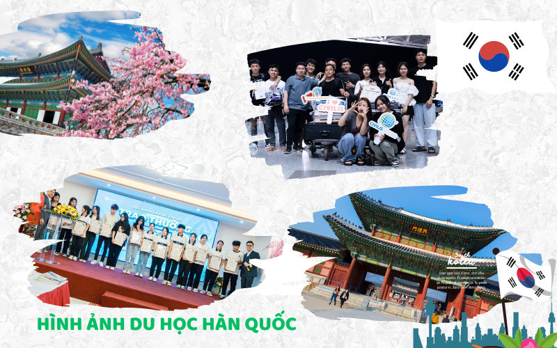 Điều dưỡng hàn quốc và những lưu ý